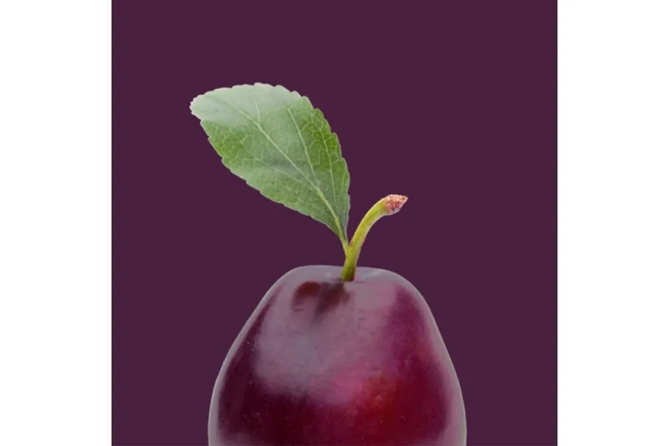 Хладилник Liebherr CNcdp 5203 DarkPlum ColourLine EasyFresh NoFrost