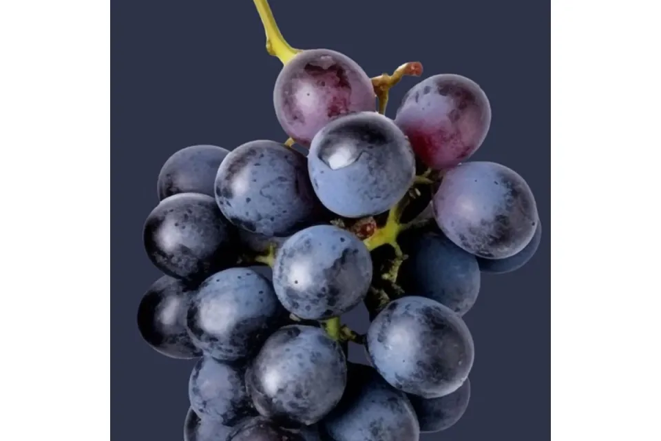 Хладилник Liebherr CNcmg 5203 MidnightGrape ColourLine EasyFresh NoFrost
