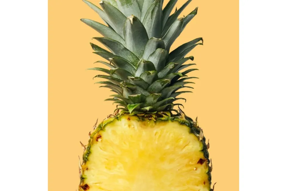 Хладилник Liebherr CNcsp 5203 SunnyPineapple ColourLine EasyFresh NoFrost