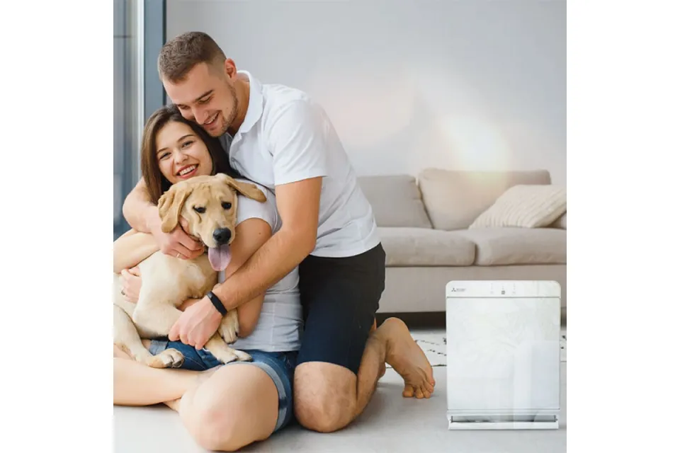 Въздухопречиствател Mitsubishi Electric MA-E85R-E