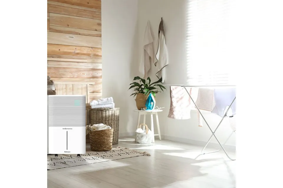Влагоуловител Rohnson R-9525 True ION & Health Clean