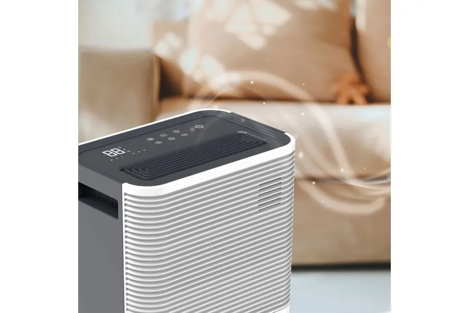 Влагоуловител Rohnson R-9525 True ION & Health Clean